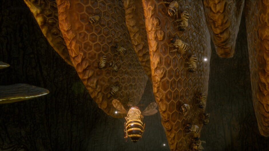 Capture de Bee Simulator