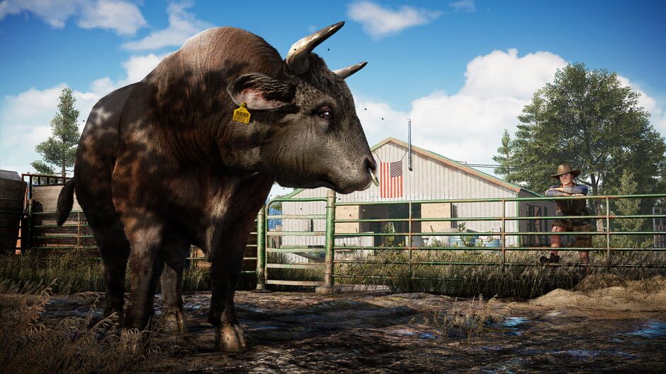 Capture de Far Cry 5