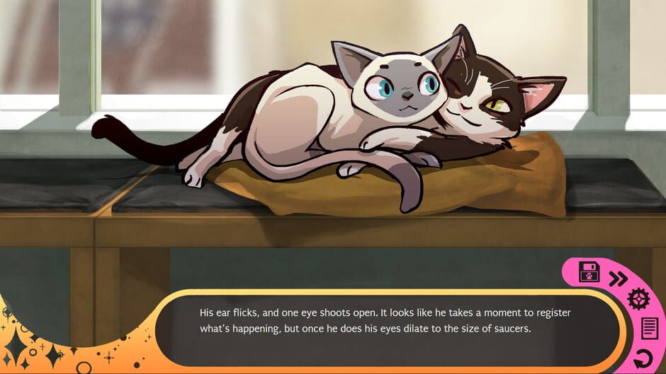 Capture de Hustle Cat