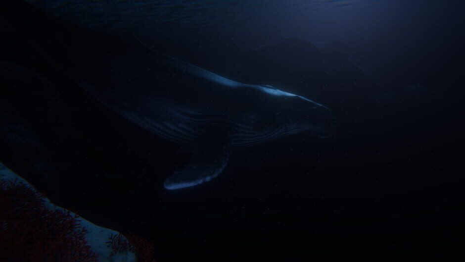 Capture de Beyond Blue