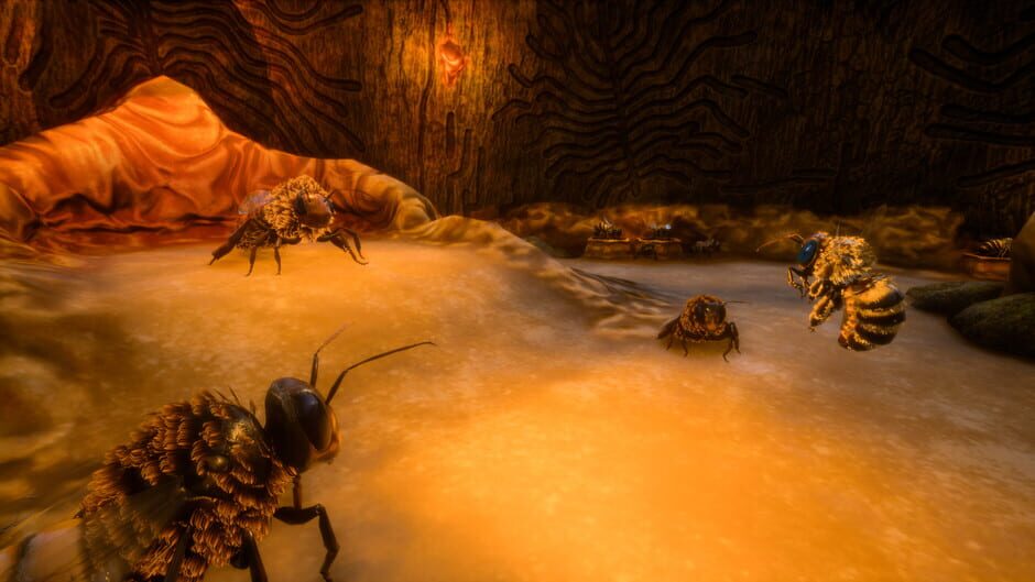 Capture de Bee Simulator