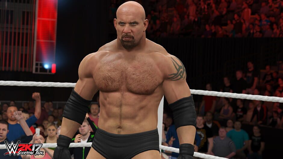 Capture de WWE 2K17