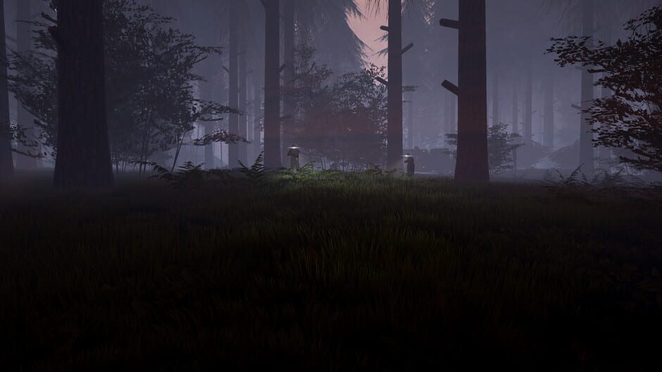 Capture de Bigfoot