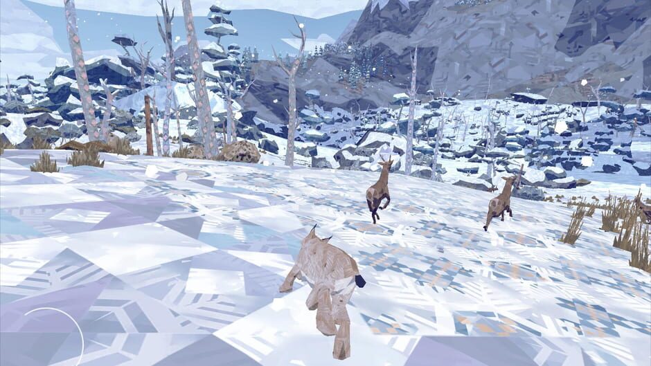 Capture de Shelter 2