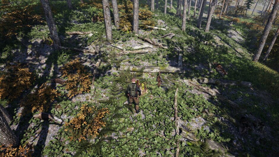 Capture de Deadside