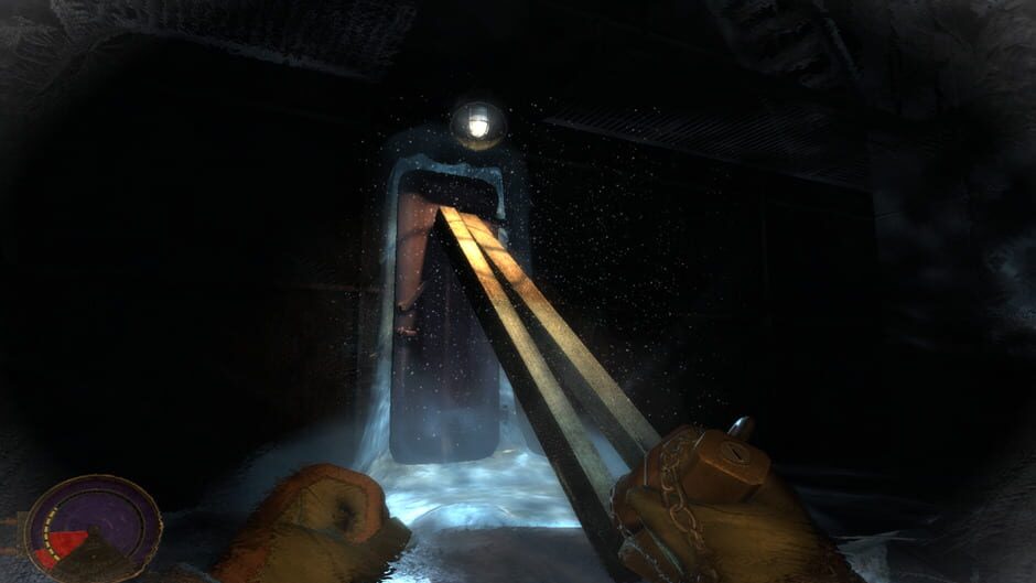 Capture de Cryostasis