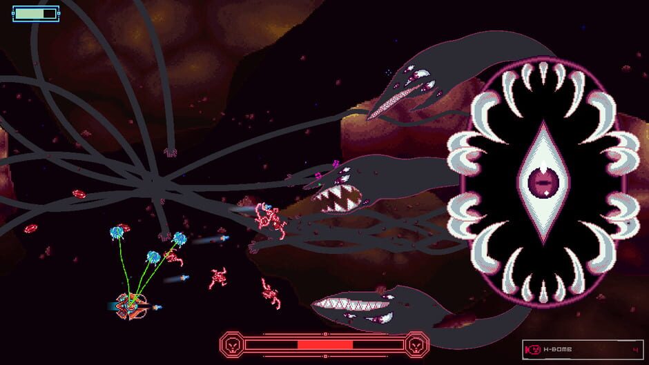 Capture de Stellar Interface