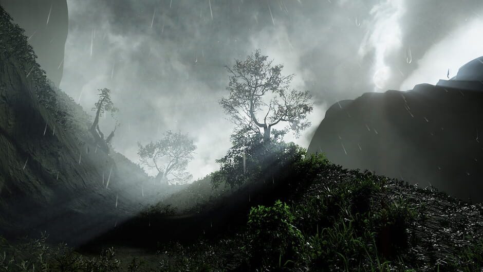 Capture de Drizzlepath