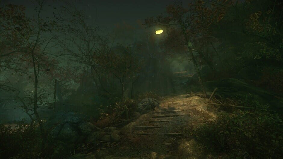 Capture de The Cursed Forest