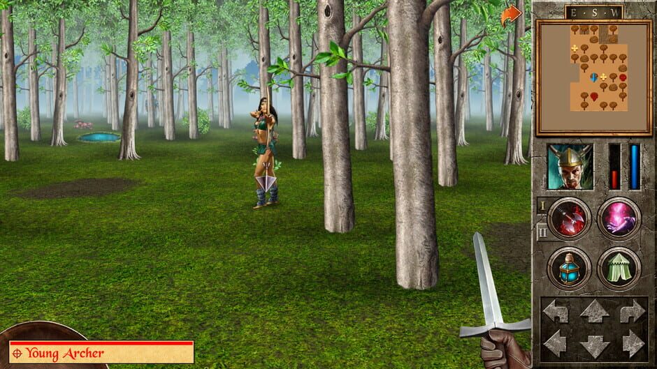 Capture de The Quest