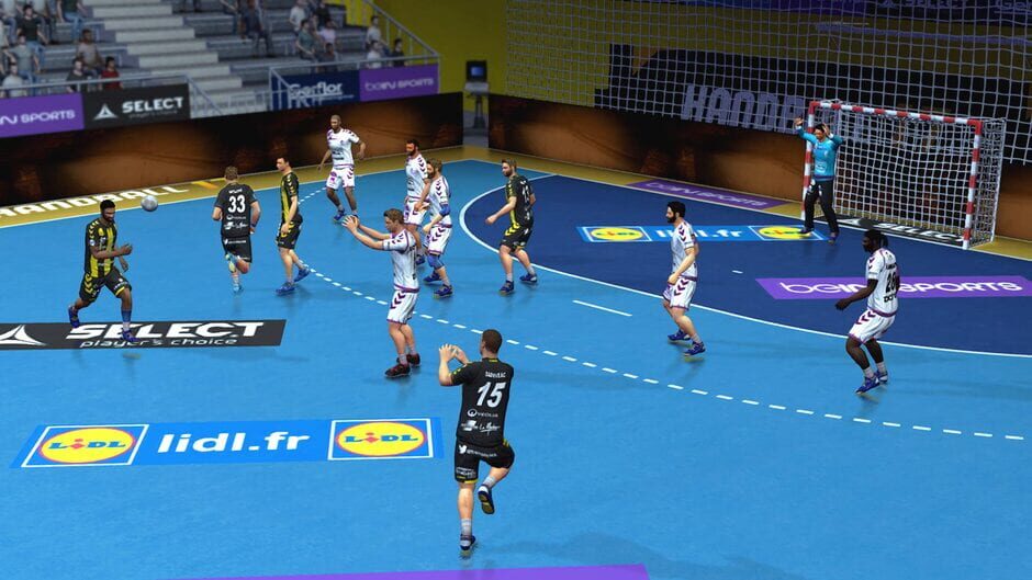 Capture de Handball 17