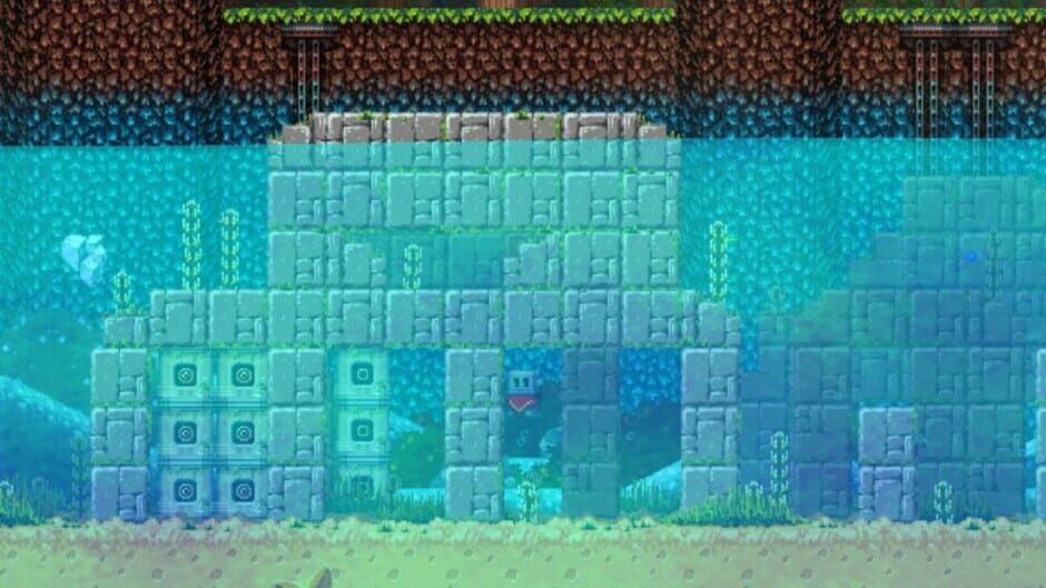 Capture de Poncho