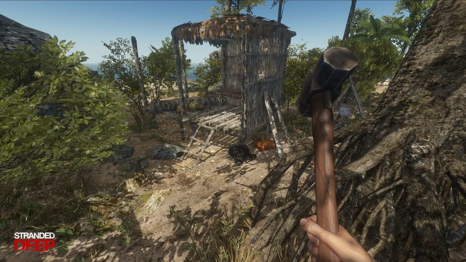 Capture de Stranded Deep