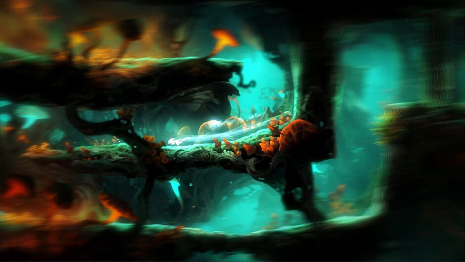 Capture d’Ori and the Blind Forest: Definitive Edition