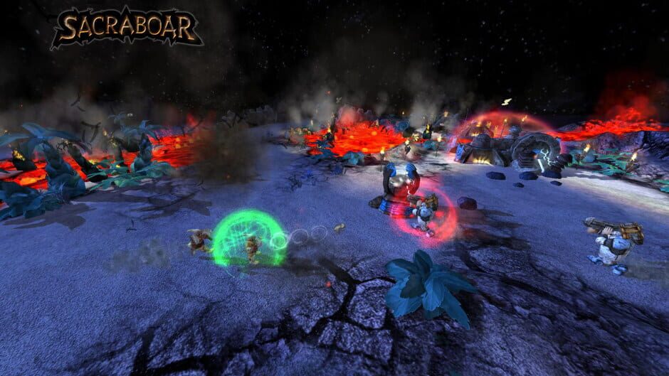 Capture de Sacraboar