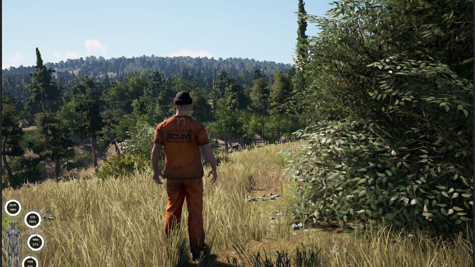 Capture de Scum