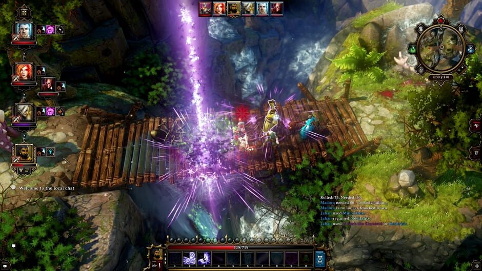 Capture de Divinity: Original Sin - Enhanced Edition
