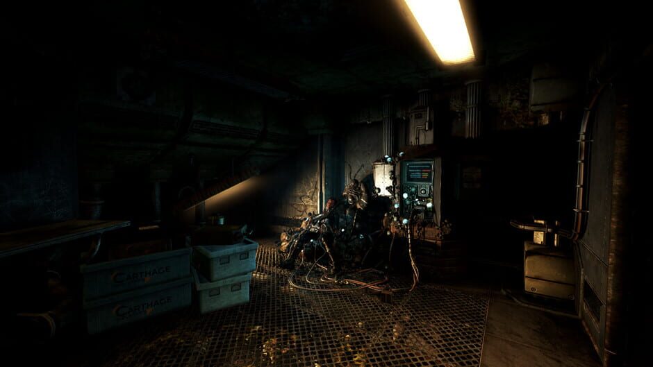 Capture de Soma