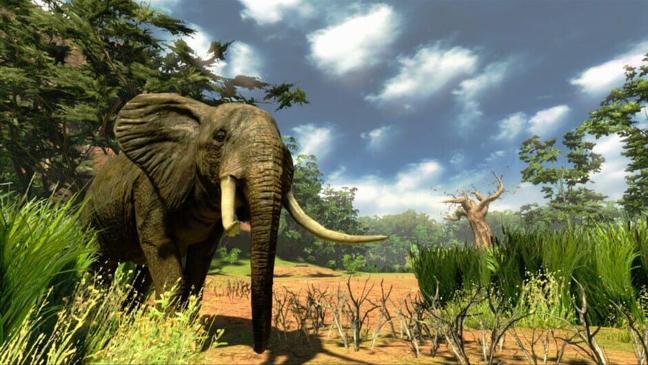Capture de Cabela's Hunting Expeditions