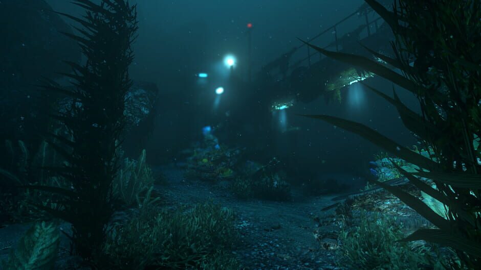 Capture de Soma