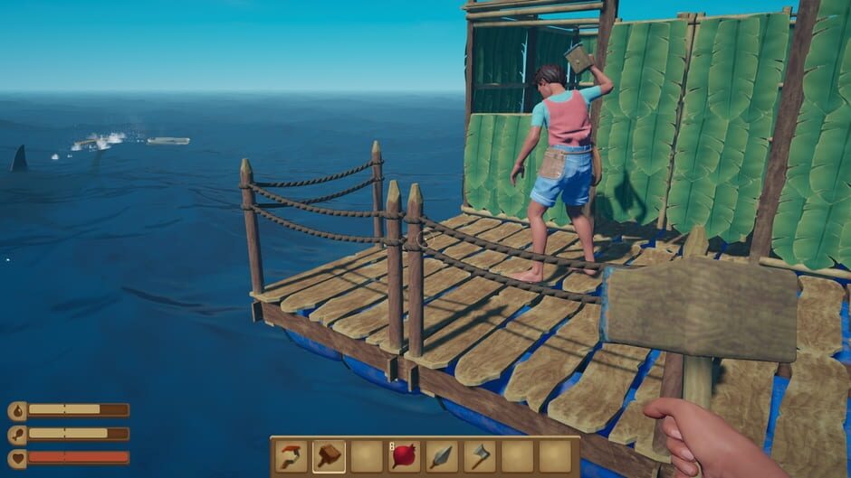 Capture de Raft