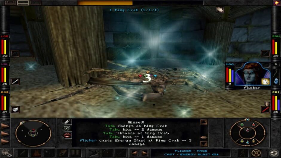 Capture de Wizardry 8