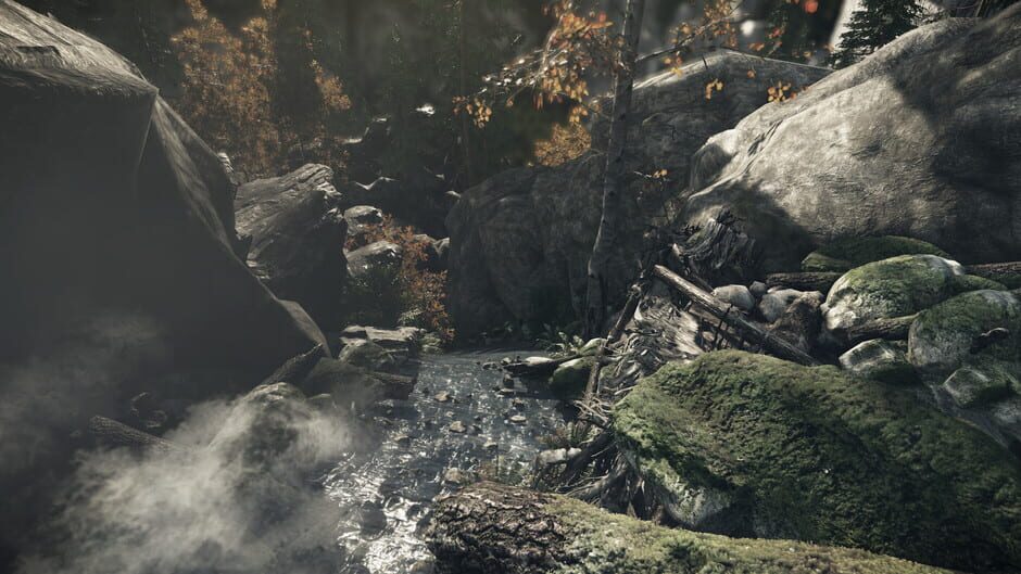 Capture de The Lost Valley