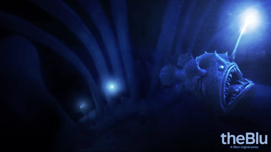 Capture de theBlu