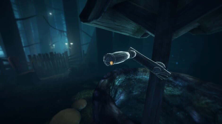 Capture d’Among the Sleep