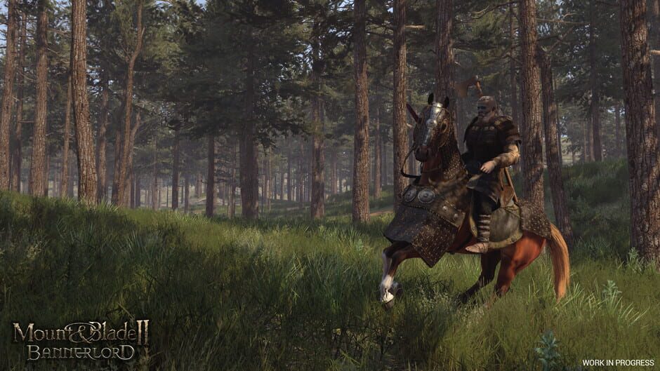 Capture de Mount & Blade II: Bannerlord