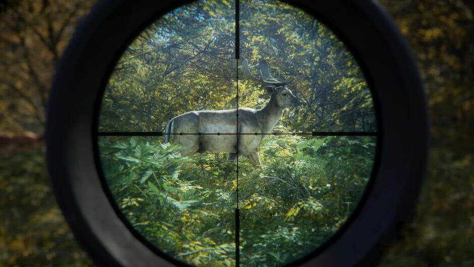 Capture de TheHunter: Call of the Wild
