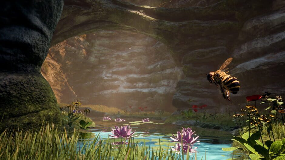 Capture de Bee Simulator