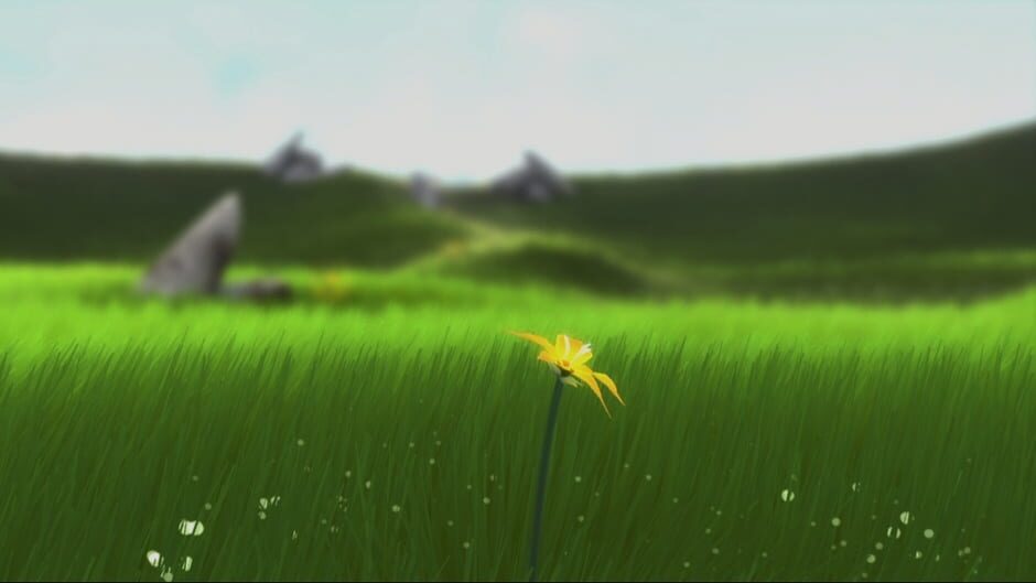 Capture de Flower