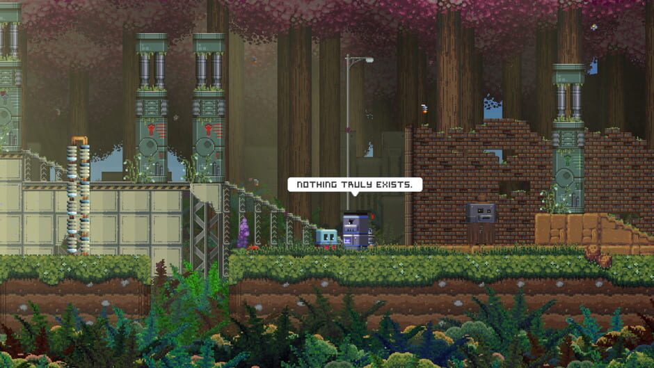 Capture de Poncho