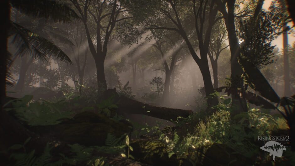 Capture de Rising Storm 2: Vietnam