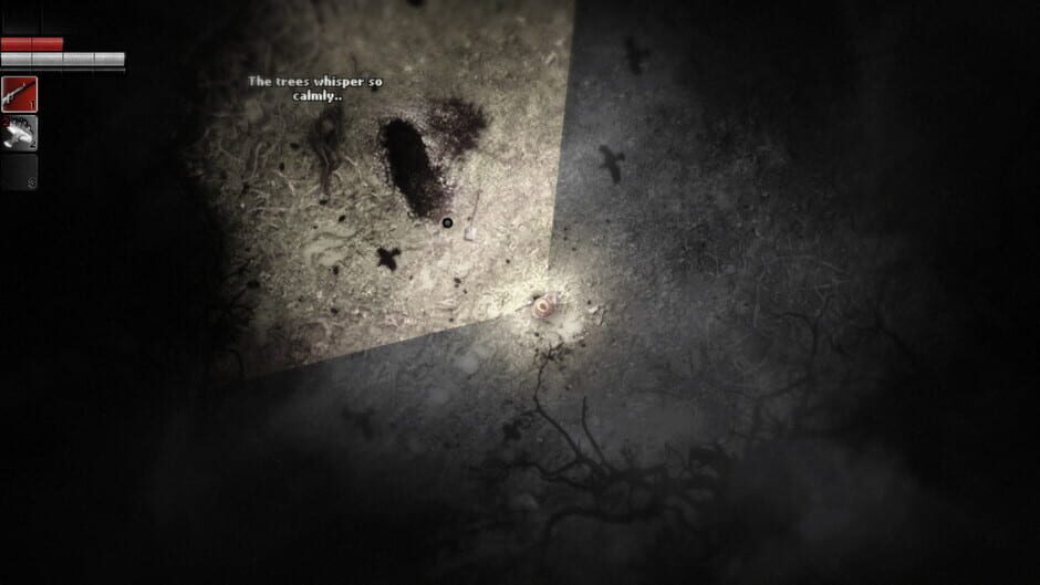 Capture de Darkwood