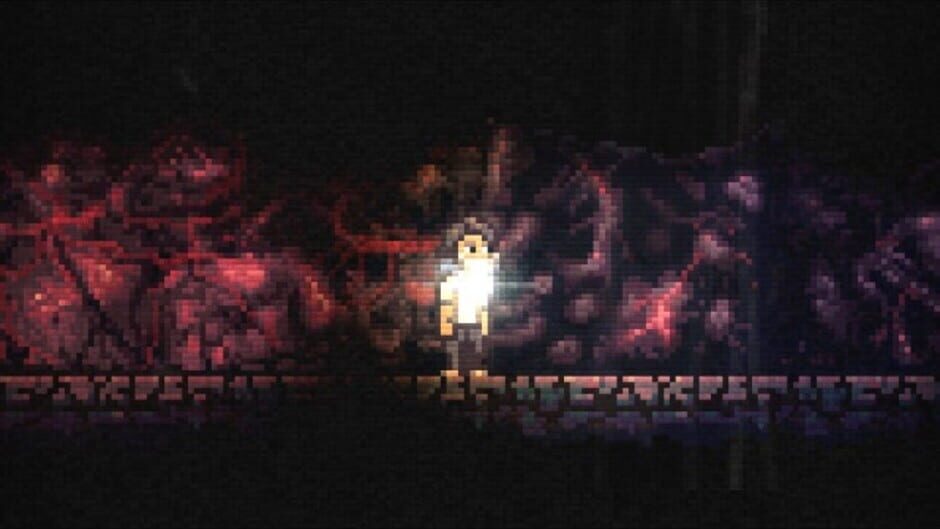 Capture de Lone Survivor: The Director's Cut