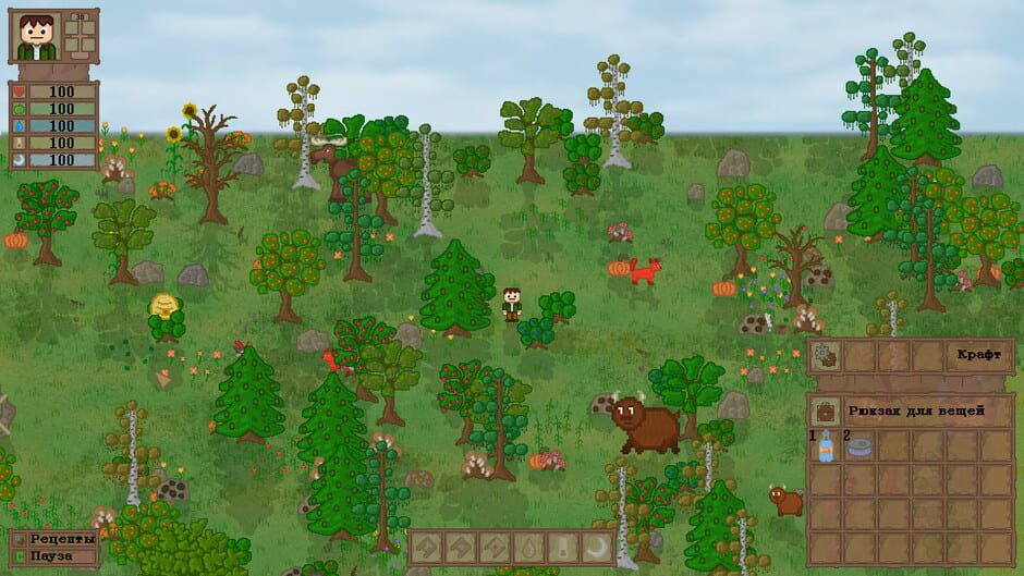 Capture de Lost In Woods 2
