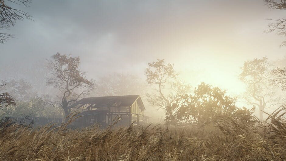Capture de ShadowSide
