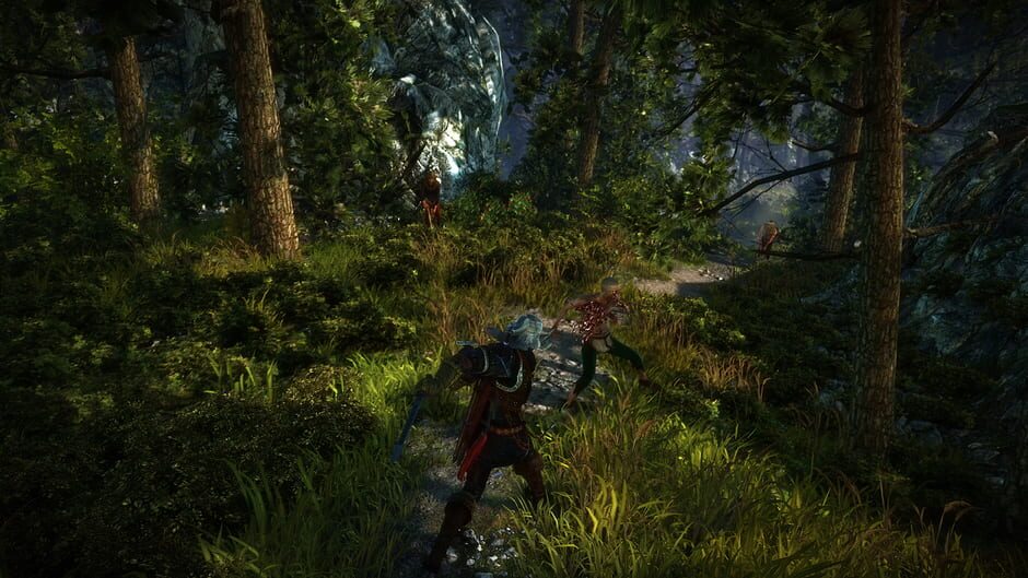 Capture de The Witcher 2: Assassins of Kings