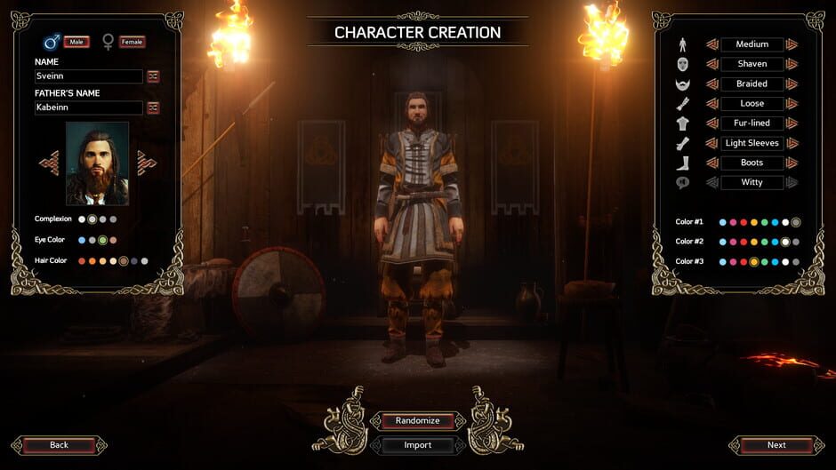 Capture d’Expeditions: Viking