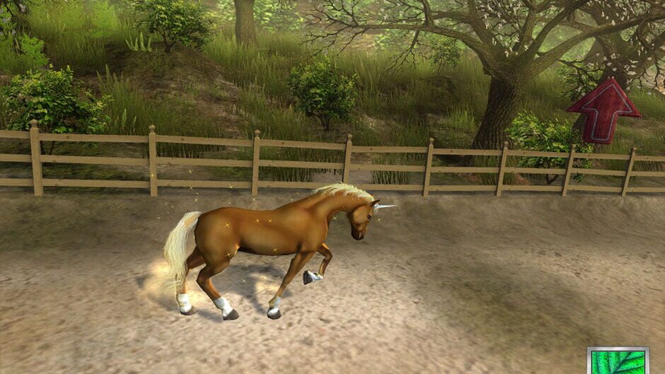 Capture de Secret of the Magic Crystals