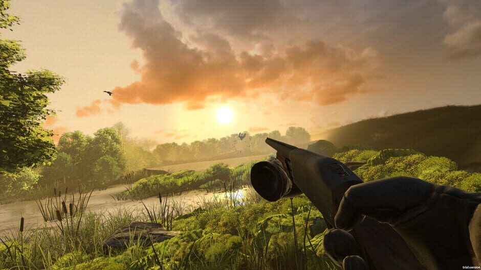 Capture de Duck Season