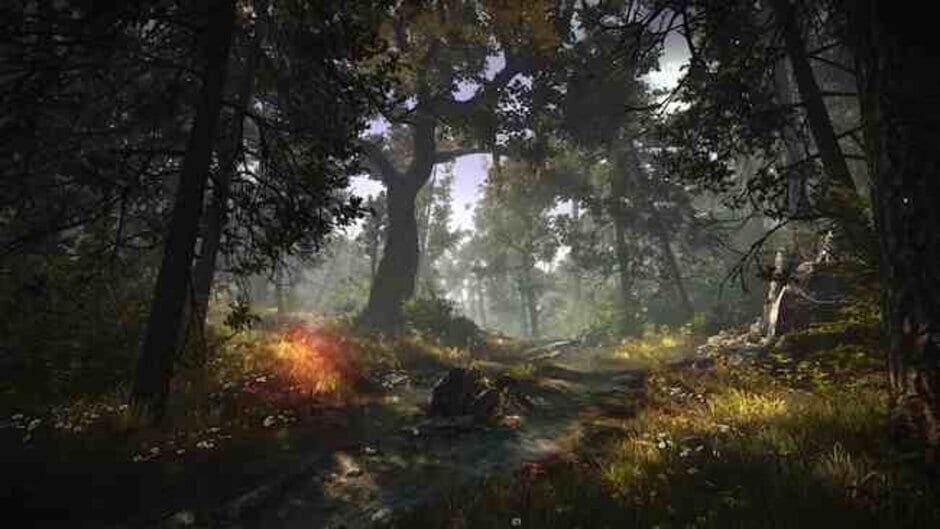 Capture de The Witcher 2: Assassins of Kings - Enhanced Edition