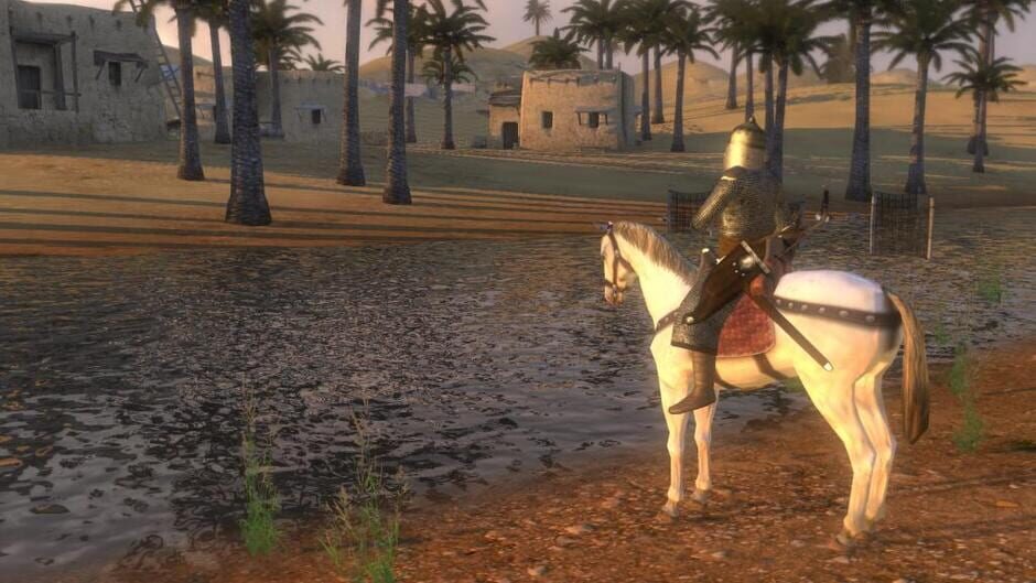 Capture de Mount & Blade: Warband