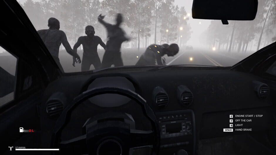 Capture de Mist Survival