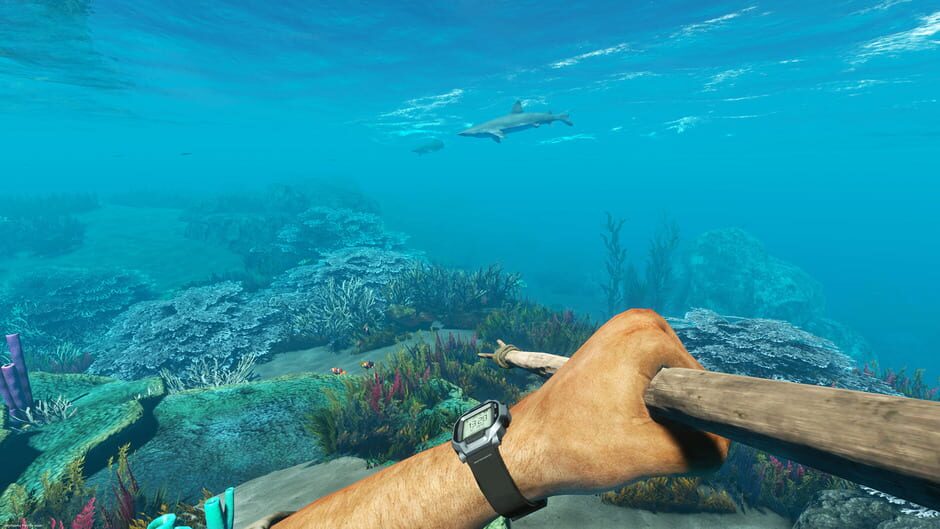 Capture de Stranded Deep