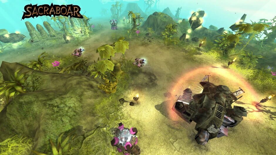 Capture de Sacraboar