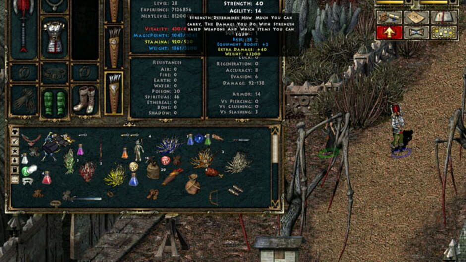 Capture de Beyond Divinity