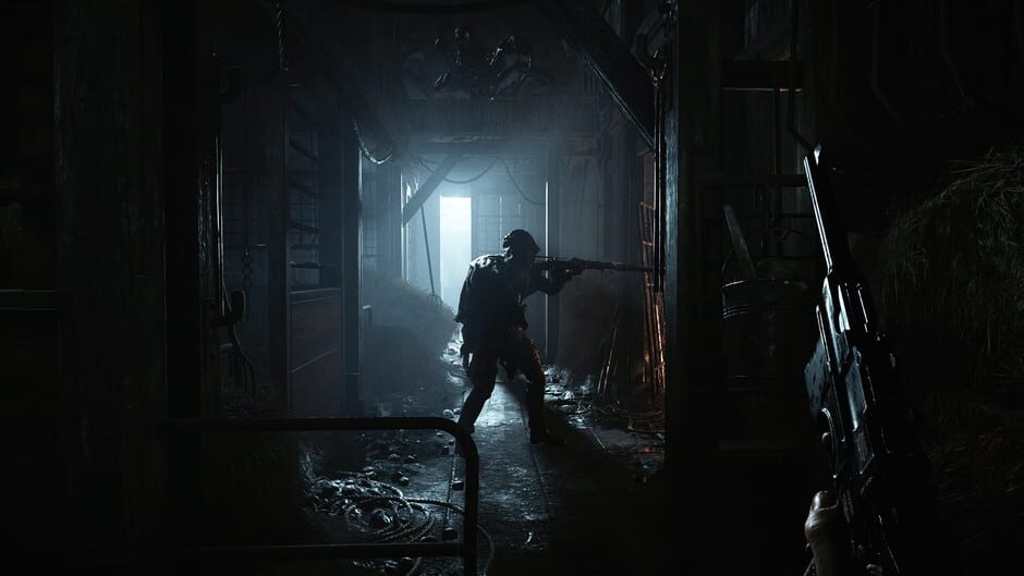 Capture de Hunt: Showdown 1896